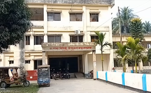 ভোলায় গরু চুরির অভিযোগে গণপিটুনিতে দুই যুবক নিহত