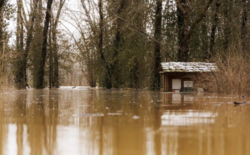 যুক্তরাষ্ট্রে প্রবল বৃষ্টিপাতের কারণে বন্যায় ১০ জনের মৃত্যু, উদ্ধার অভিযান চলছে
