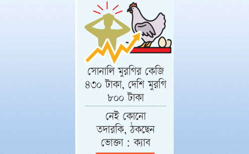 মুরগির বাজারে আগুন: ২২০ টাকায় ব্রয়লার, ৪৩০ টাকায় সোনালি! বাজার অস্থিরতার নেপথ্যে কারা?