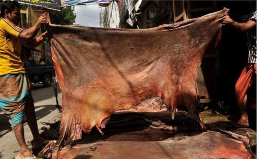 চামড়াশিল্প এখন খাদের কিনারে: কুরবানির চামড়ার বাজারে মহাধসের আশঙ্কা