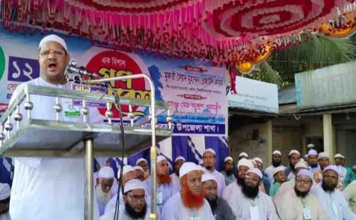 ফ্যাসিস্ট চরিত্রের পুনরাবৃত্তি হলে জনগণ আবারও রুখে দাঁড়াবে: চরমোনাই পীর