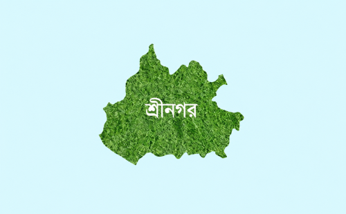 শ্রীনগরে প্রবাসীর বাড়িতে চুরি, নগদ টাকা-স্বর্ণসহ মালামাল লুট