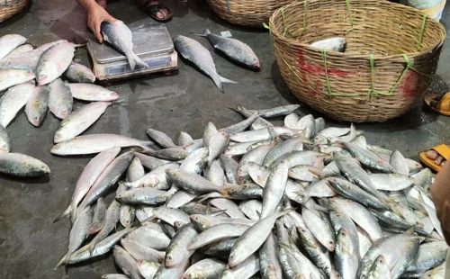 ‘আমি ৫ ওয়াক্ত নামাজ পড়ি, এসবের মধ্যে নেই’