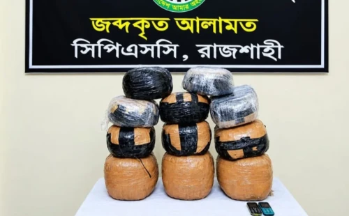 গভীর রাতে পার্সেলে আনা হলো ২৮ কেজি গাঁজা, যুবক গ্রেপ্তার
